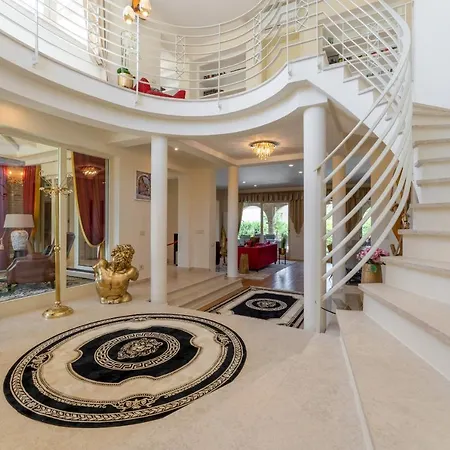 Lionea * ポレッチ